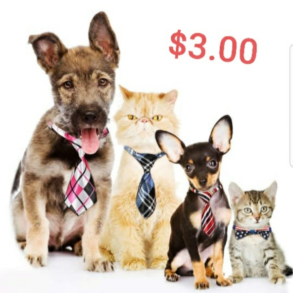 Meet your Posher, Patty - Picture 2 of 4